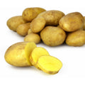 Pommes de terre de consommation - PETIT PRIX - Le filet de 1,5K G